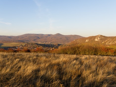 Mi történik most az Önkormányzat háza táján?