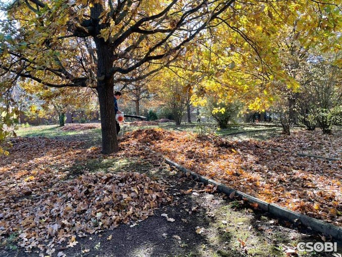 Közösségi kertészkedésre hívjuk