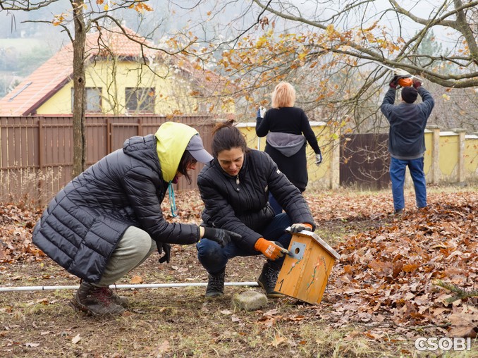 Közösségi kertészkedés