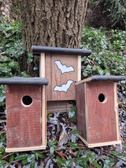 Új otthonok a csobánkai madaraknak és denevéreknek