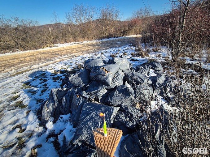 Szülinapi kívánság: jó helyre kerülni