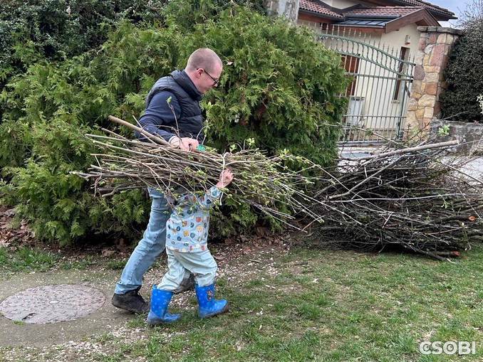 Meghívó közösségi kertészkedésre és vetőmag csere-berére